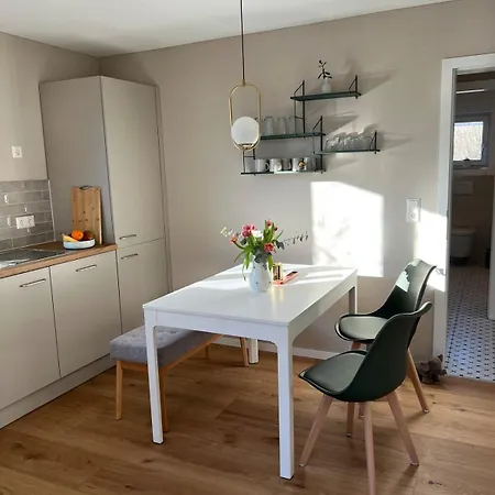 Apartmán Charmante 3-schlafzimmer Mit Balkon In Lörrach